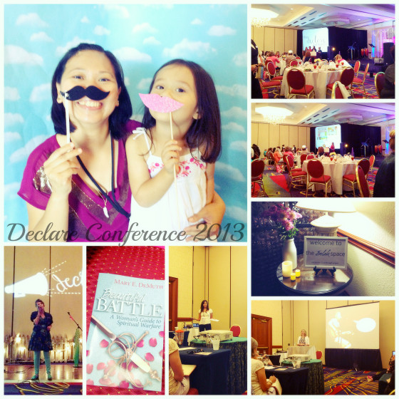 declare2013_2