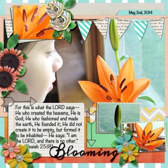 Kit: Collecting Moments by Pixelily Designs Template: Template Galore Bundle 2 by Pixelily Designs Font: Noteworthy, Meddon